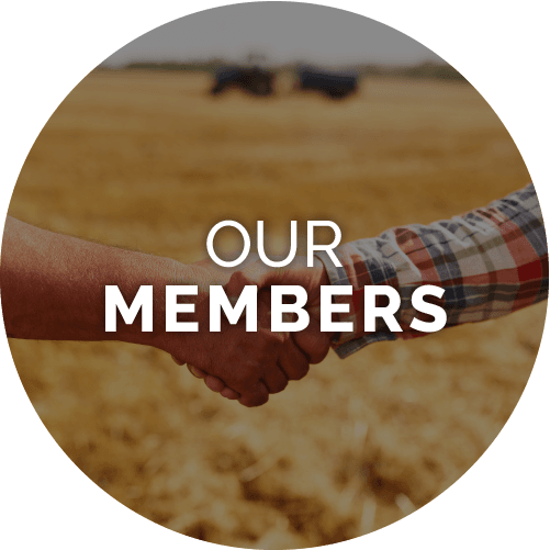 OurMembers